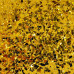 Cosmic Shimmer - Spangles - Radiant Gold Duo Set Cosmic Shimmer - Spangles - Radiant Gold Duo Set