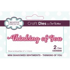Mini Shadowed Sentiments - Thinking of You