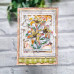 Sue Wilson - Noble Collection - Decorative Squared Rectangles Sue Wilson - Noble Collection - Decorative Squared Rectangles